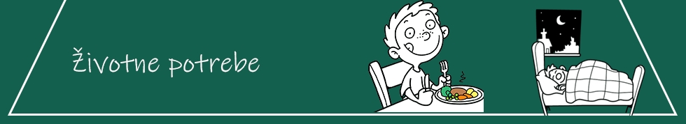 Baza piramide - životne potrebe